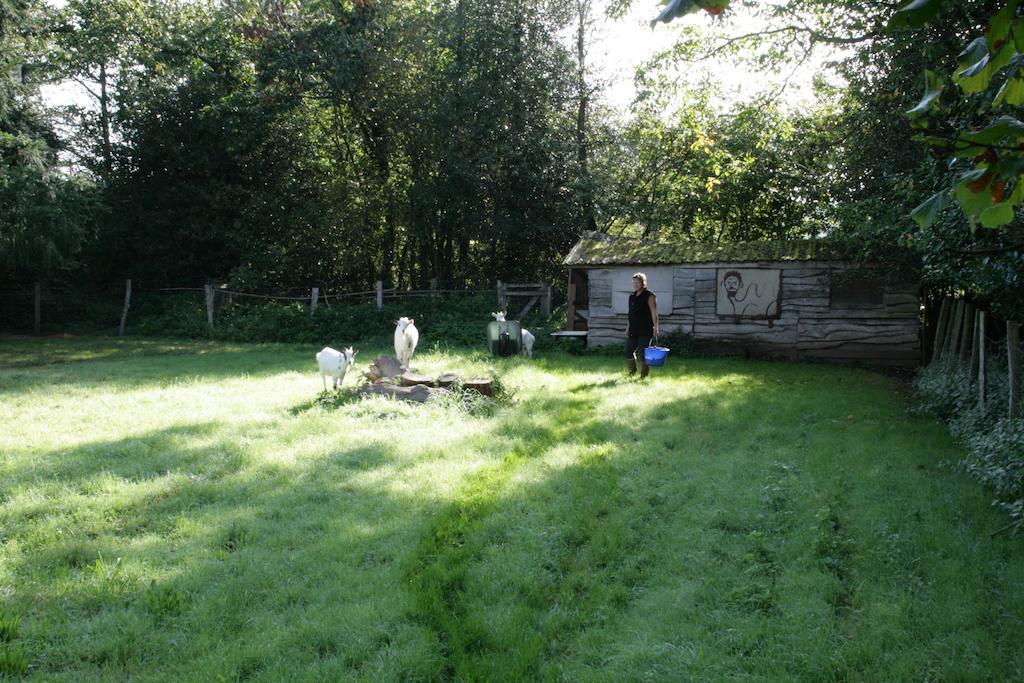 Le Petit Mas D'Ile Bed & Breakfast Saint-Germain-de-Confolens Екстериор снимка